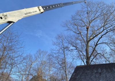 Southington, CT - Tree Removal Project