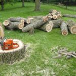 Tree Removal Contractor in Meriden, CT
