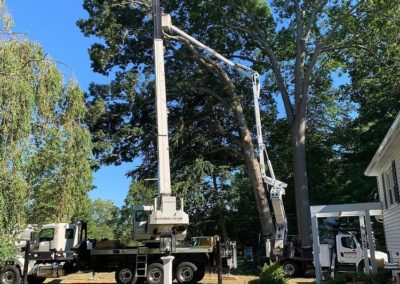 Southington, CT Tree Removal Company