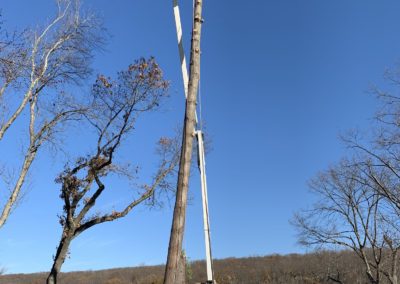 Meriden, CT Tree Removal Project