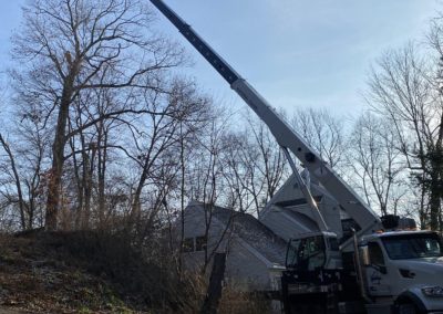 Meriden, CT Tree Removal Project