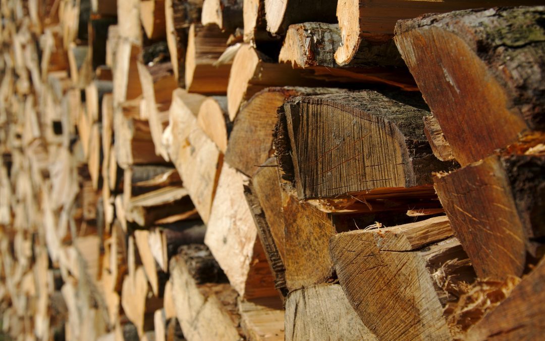 Middlebury, CT | Best Firewood for Sale & Delivery | Seasoned Firewood
